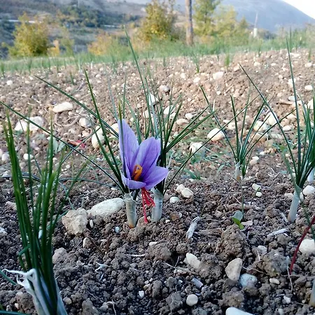 Apartment Il Castello