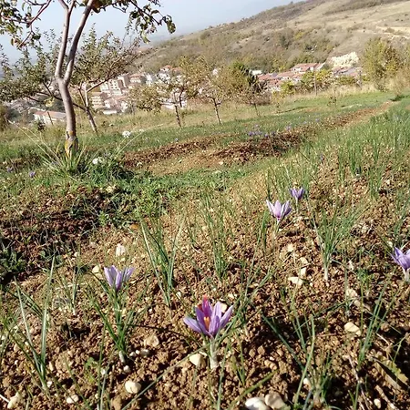 Apartment Il Castello *