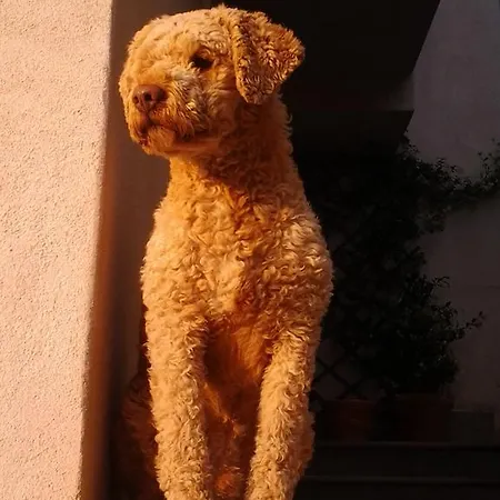 Il Castello Apartment Pescina