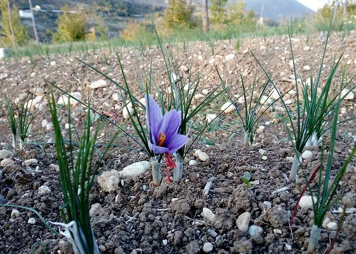 Appartamento Il Castello
