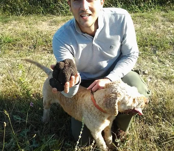 Il Castello * Pescina